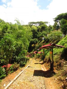 Historia y crítica del arte en América Latina