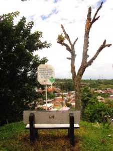 Pedagogía y didáctica del arte en el campo educativo