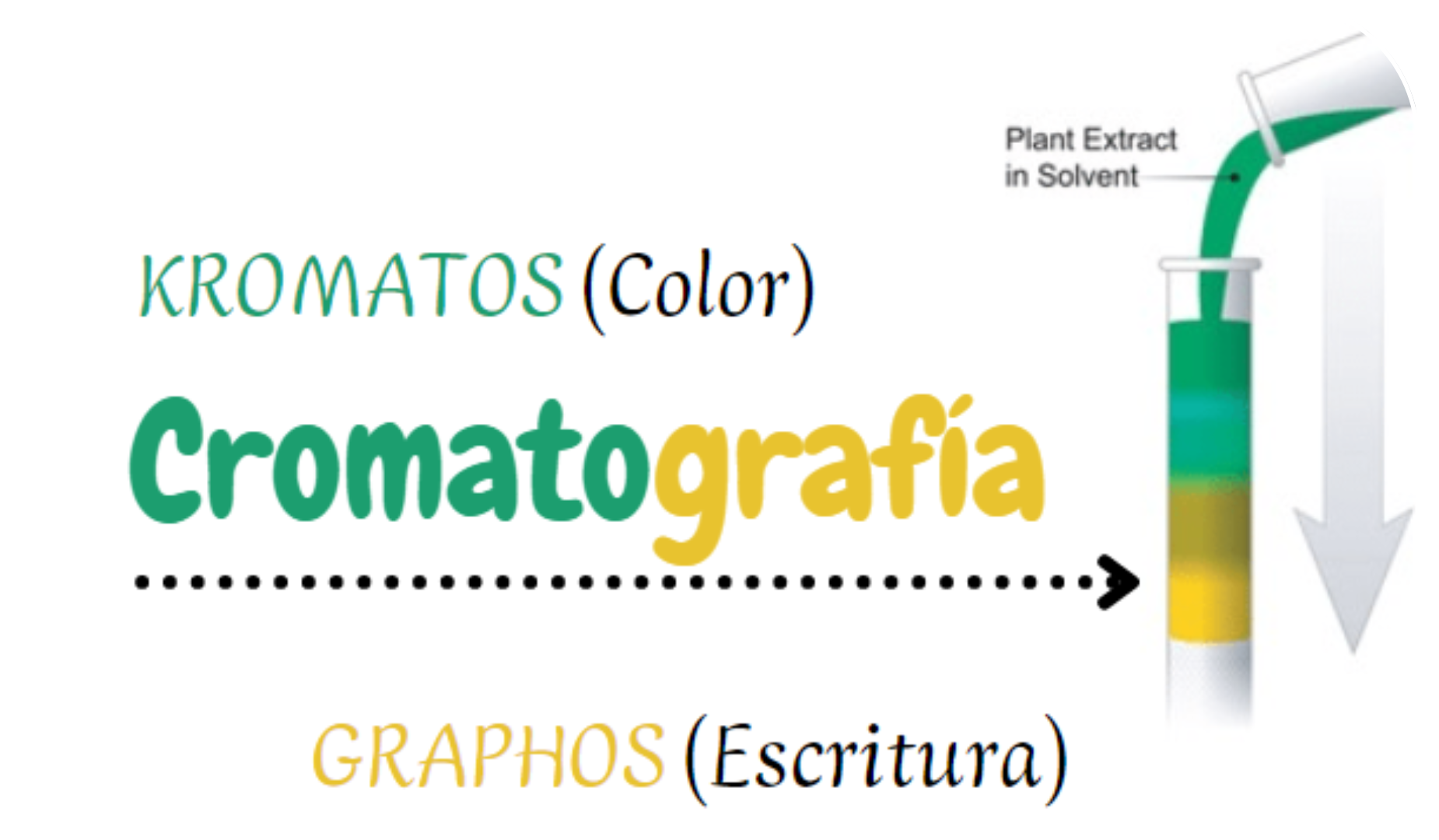 Diseño sin título (5)