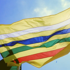 Bandera de la UTP ondeando
