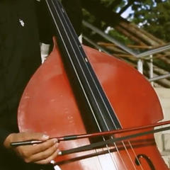 Contrabajo interpretando el himno de la UTP
